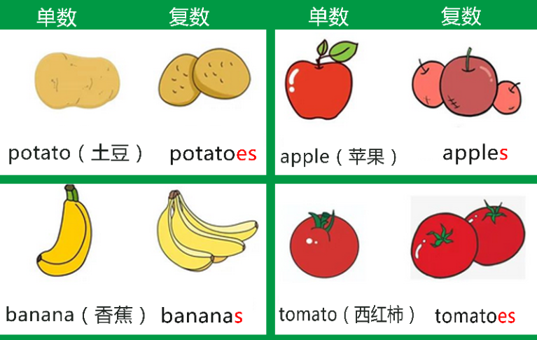 640-1 【基础篇】可数名词和不可数名词的区分和复数变化规则