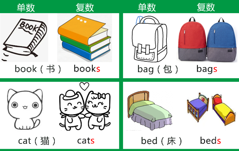 640-3 【基础篇】可数名词和不可数名词的区分和复数变化规则