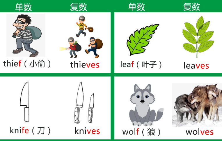 640-5 【基础篇】可数名词和不可数名词的区分和复数变化规则