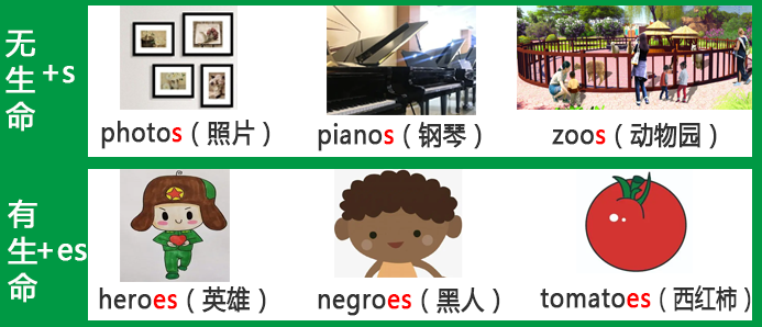 640-6 【基础篇】可数名词和不可数名词的区分和复数变化规则