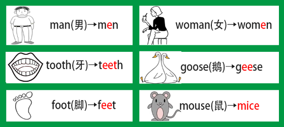 640-8 【基础篇】可数名词和不可数名词的区分和复数变化规则