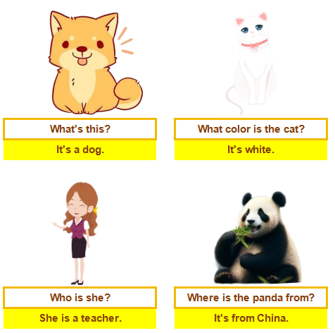 frc-790868444fbb2b019d76ddf56dda6874 【基础篇】句子种类(特殊疑问句)