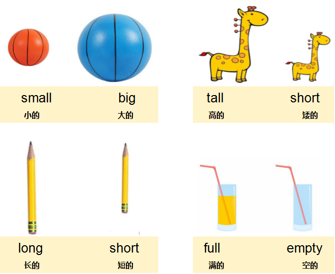 frc-a2bc6e7e3b62ce8f7464114503c6ade5 【基础篇】形容词(第一部分)