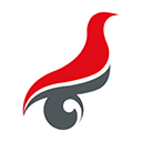 学信网app缩略图