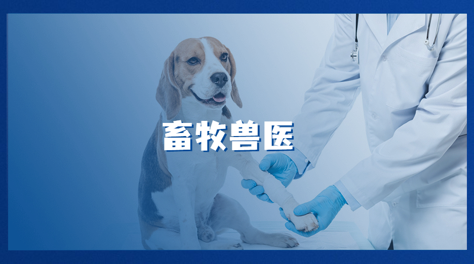 46dedb99489f470fa2db94afc94f4fd8_1666949402213 国家开放大学专业之畜牧兽医