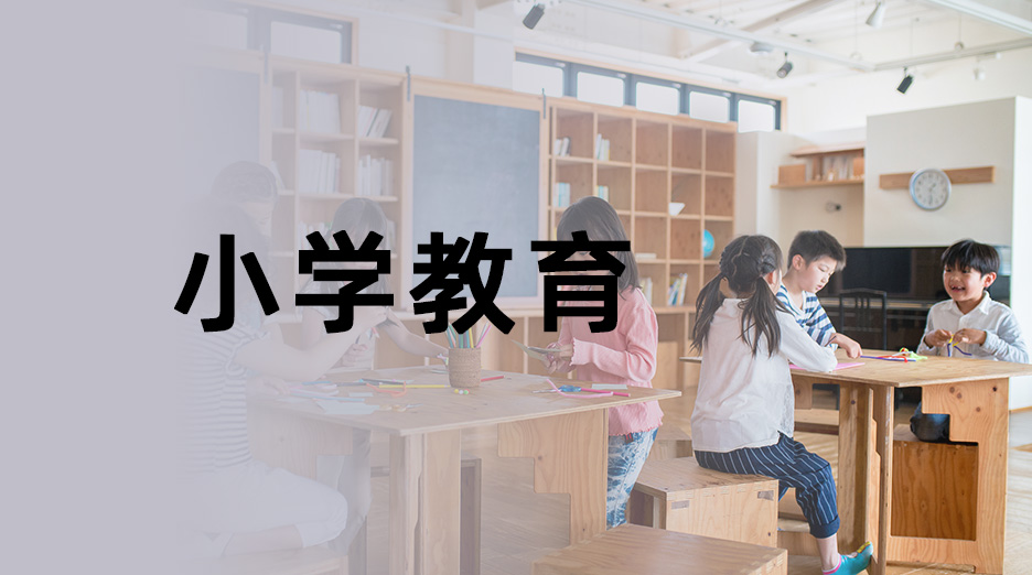 b55cdf5a96064adaafb536d9c22311bf_1666597916198 国家开放大学专业之小学教育(本)